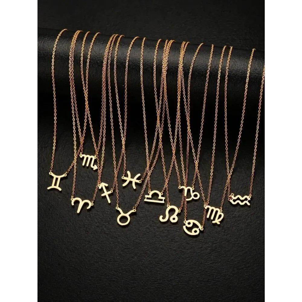 Zodiac Sign Necklace - Picture 1 of 6